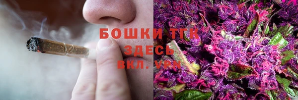 круглые Белокуриха